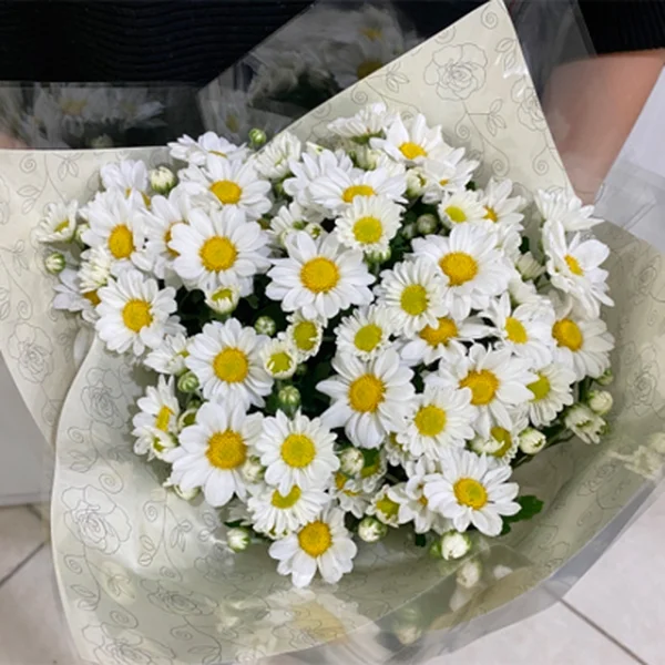 Mini Vaso de Margaridinhas Plantadas - Imagem 2