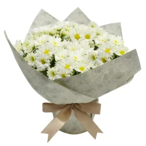 Mini Vaso de Margaridinhas Plantadas